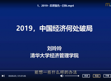【经济】刘玲玲《2019中国经济何处破局》视频培训课程