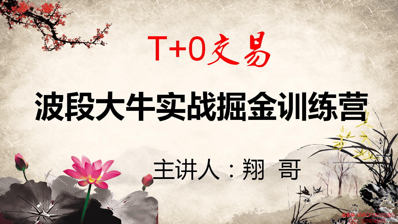 【翔哥】2020年擒龙T+0波段实战掘金训练营视频培训课程