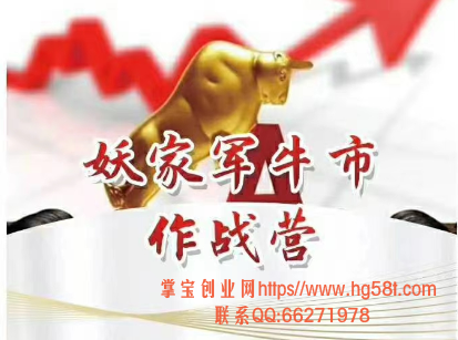 妖哥团队《妖家军牛市作战营》培训课程视频+讲义+指标