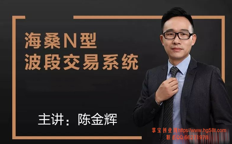 海桑【陈金辉】：N型波段交易系统 14讲培训视频课