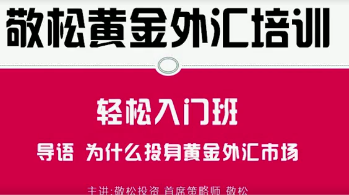 敬松投资黄金外汇培训 轻松入门班视频培训课