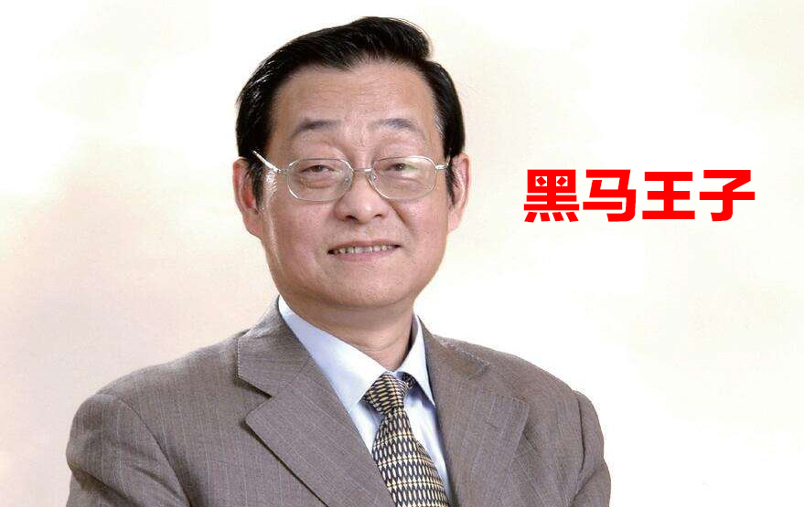 黑马王子T48期特训 伏击涨停量学特训班 音频+讲义