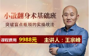 【溪流竹海】王宗峰-小散翻身术基础班 突破盲点瓶颈的实操战法 2021年7月
