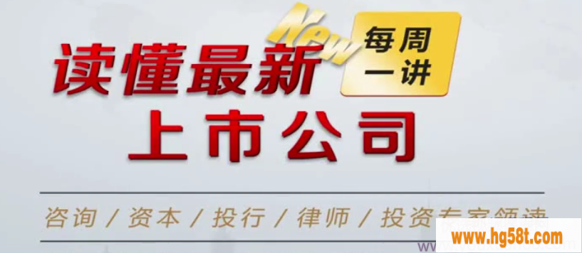 上市公司案例分析课