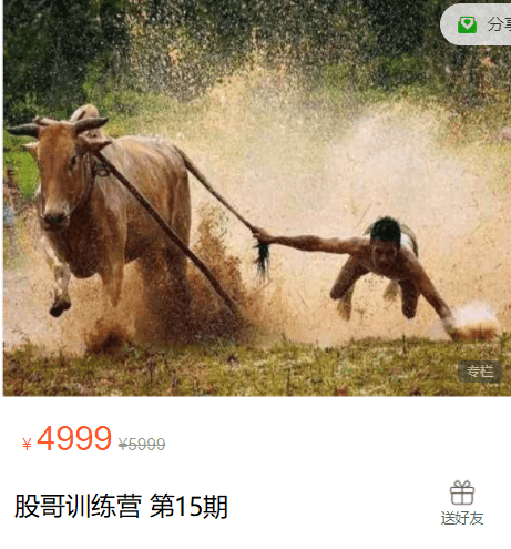 【只会炒股】股哥训练营 只会炒股第15期