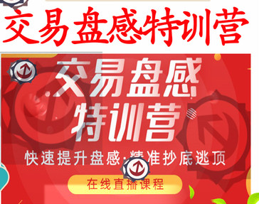 【无为老师】无为战法之《交易盘感特训营》237期