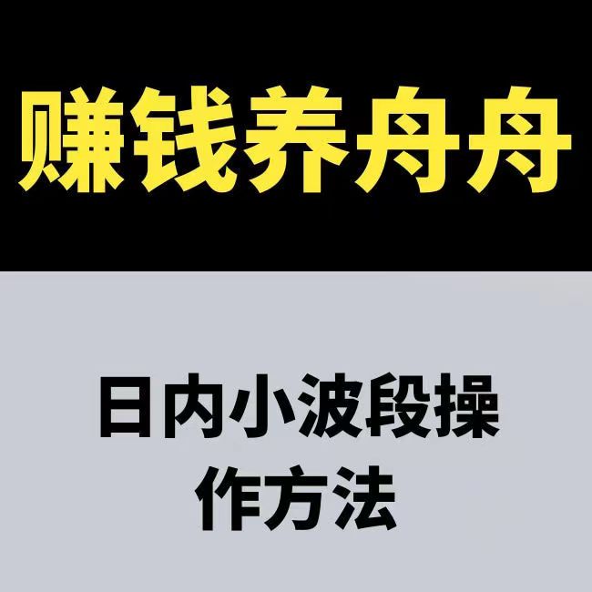 【赚钱养舟舟】日内小波段操作方法 期货课程