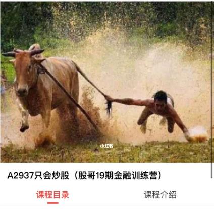 【只会炒股】股哥19期金融训练营