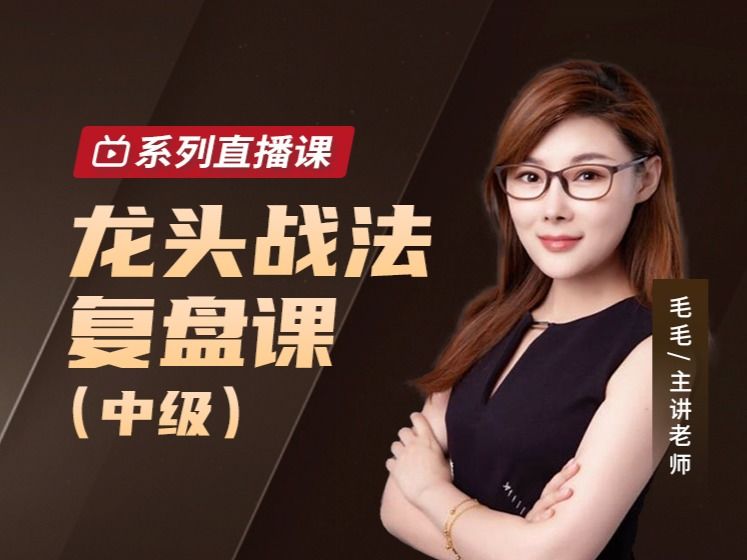毛毛老师龙头战法复盘课2022年（中级）
