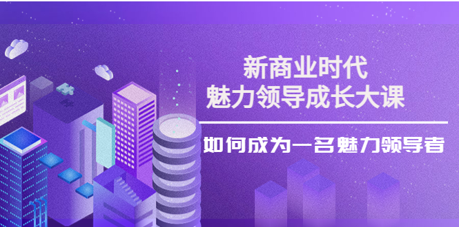 《新商业魅力领导成长大课》29节视频课