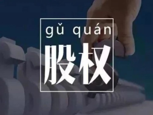 臧其超-股权设计与盈利体系 20节视频