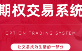 陈凯期权交易系统