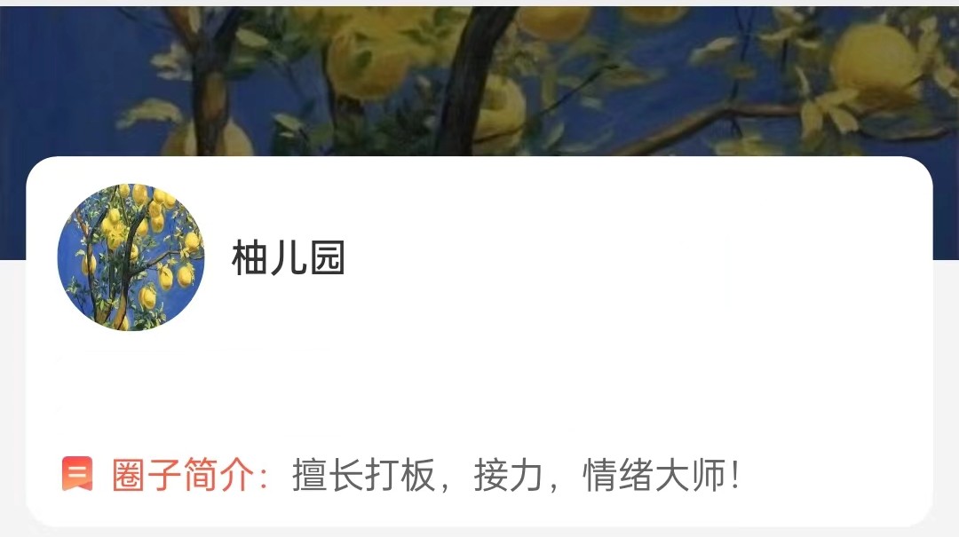 大柚子笔记大柚子2023炒股精华文档汇总
