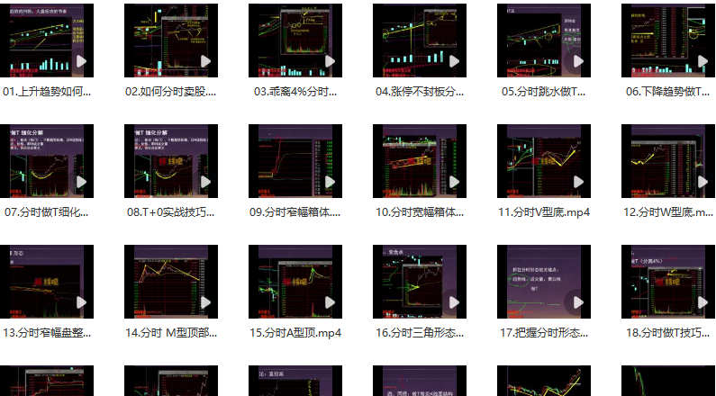 龟股堂《股票T+0实战秘籍》分时做T技巧 共32集