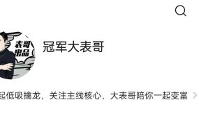 【冠军大表哥】主线核心专栏,大表哥价值百万投资课，低吸擒龙情绪周期