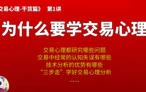 【熊猫玩币】熊猫交易学社 黄金VIP 系统课06-交易心理篇 8集