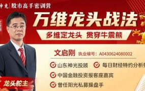 神光文启刚万维龙头战法多维定龙头穿越牛震熊 新系统课28集