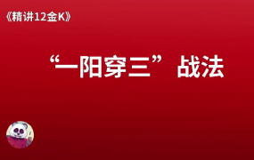 熊猫交易学社 黄金VIP 系统课精讲12金K