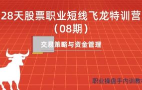 天智一飞《28天股票职业短线飞龙特训营08期》一飞金融