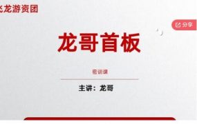 飞龙游资团龙哥首板密训课（2024新版）