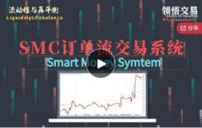 领悟交易SMC订单流供需交易系统