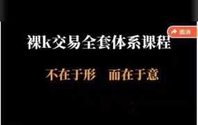 裸K交易(半山猎人全套体系)视频课 裸K不在于形而在于意