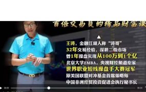 王涛百倍增长课堂涛哥黄金涨跌的背后逻辑和下手时机 1视频