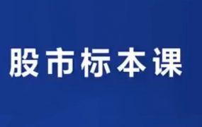 小袁老师说财经-股市实战标本课