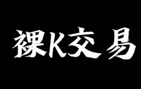 跟裸 K 哥学透裸 K 交易系统：实战特训课