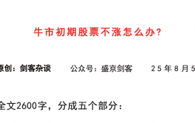 【盛京剑客付费文250805】：牛市初期股票不涨怎么办？