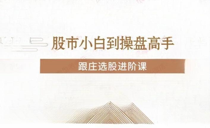 投机大拿跟庄选股进阶课：7天掌握主力跟庄策略与实战技巧