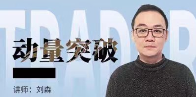 刘森 期货标准动量突破培训视频课程