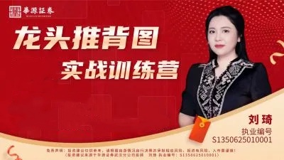 刘琦龙头推背图龙头掘金03期小班课
