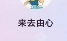 来去由心股票课程充电视频 2026