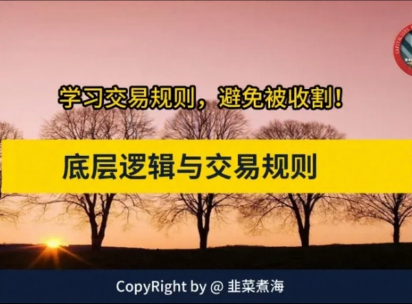 韭菜煮海《交易底层逻辑与交易规则》，股市进阶必修课