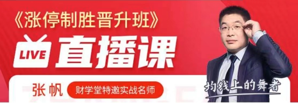 张帆抓板技能提升 涨停制胜晋升班精品小班课