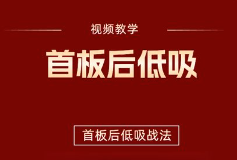 【首板后低吸战法】视频+指标
