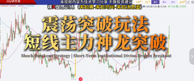 Joy交易进阶课程-千盘试炼，裸K盘感训练